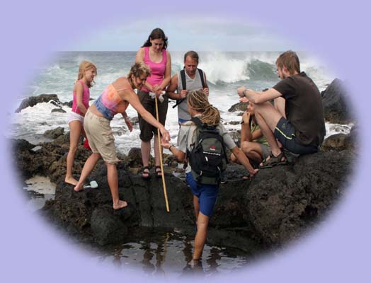 Exkursion in die Gezeitentmpel (Tidal Rockpools) am "Babybeach" - Charco del Conde, Valle Gran Rey, La Gomera