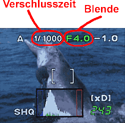 Einstellung Fotografie: Verschlusszeit, Blende